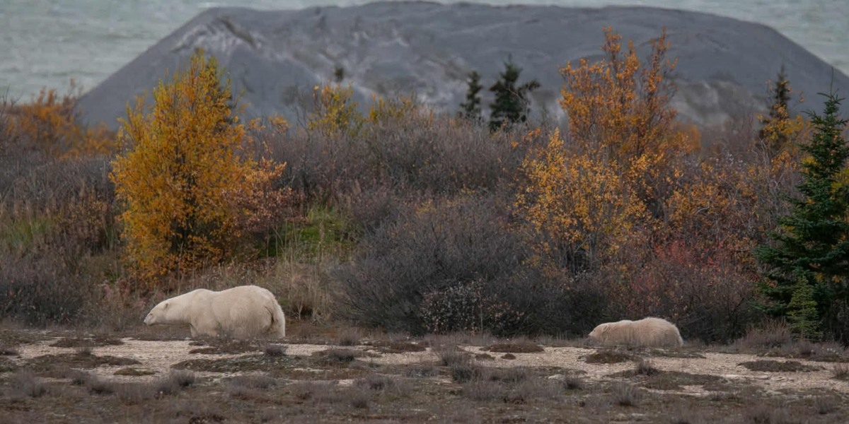 Blog cover image (4).png (1014 KB)